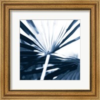 Framed 'Among Blue Palms I' border=