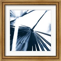 Framed 'Among Blue Palms II' border=