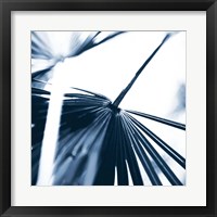 Framed 'Among Blue Palms II' border=