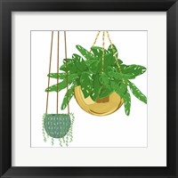 Hanging Plant Set Framed Print