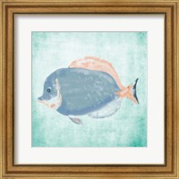 Framed 'Fish In The Sea I' border=