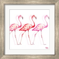 Framed 'Flamingo Trio I' border=