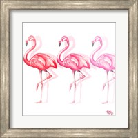 Framed 'Flamingo Trio II' border=