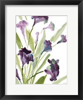 Purple Belles II Framed Print