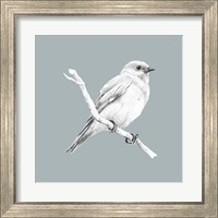 Framed 'Bird Study on Blue I' border=