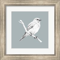 Framed 'Bird Study on Blue I' border=