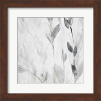 Framed Gray Misty Leaves Square II