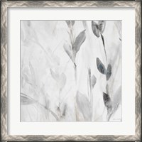 Framed 'Gray Misty Leaves Square II' border=