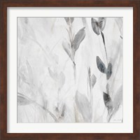 Framed 'Gray Misty Leaves Square II' border=