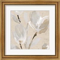 Framed 'Neutral Tulips II' border=