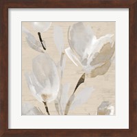 Framed 'Neutral Tulips II' border=