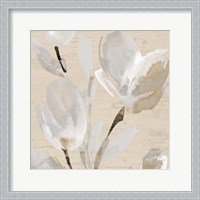 Framed 'Neutral Tulips II' border=