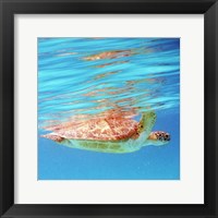 Framed Underwater Depths I