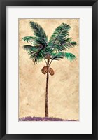 Coconut Tribal Palm II Framed Print