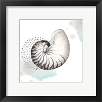 Framed 'Turquoise Ocean Nautilus' border=