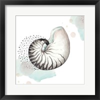 Turquoise Ocean Nautilus Framed Print