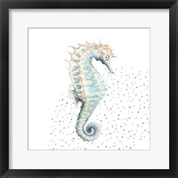 Turquoise Seahorse Framed Print