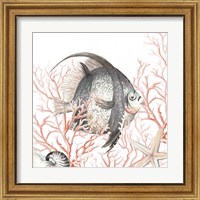 Framed 'Ocean Fish On Coral' border=