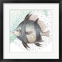 Framed Coastal Fish I