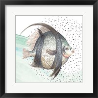 Coastal Fish II Framed Print