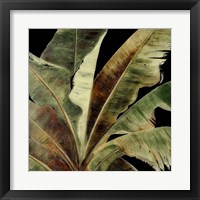 Framed 'Uraba Palm on Black I' border=