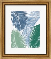 Framed 'Baru Palm Collage II' border=