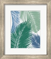 Framed 'Baru Palm Collage I' border=