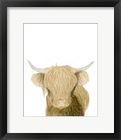 Framed Highland Cattle