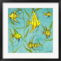 School Of Fish IV Framed Print