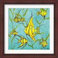 Framed 'School Of Fish III' border=