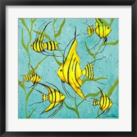 Framed School Of Fish III