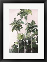 Framed Palms Under A Pink Sky