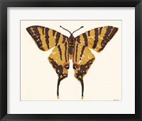 Framed 'Papillon 2' border=