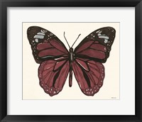 Papillon 6 Framed Print