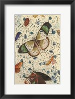 Confetti with Butterflies IV Framed Print