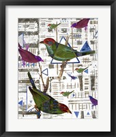 Framed 'Bird Intersection II' border=