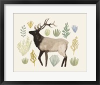 Sagebrush Prairie IV Framed Print