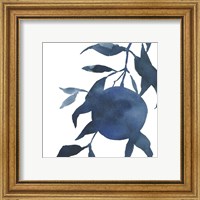 Framed 'Indigo Oranges I' border=