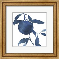 Framed 'Indigo Oranges II' border=