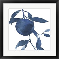 Framed 'Indigo Oranges II' border=