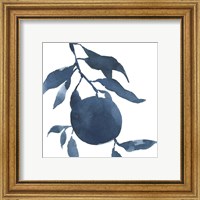 Framed 'Indigo Oranges III' border=