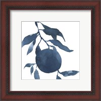 Framed 'Indigo Oranges III' border=