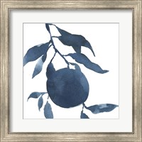 Framed 'Indigo Oranges III' border=