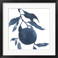 Framed 'Indigo Oranges III' border=