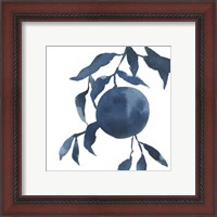 Framed 'Indigo Oranges IV' border=