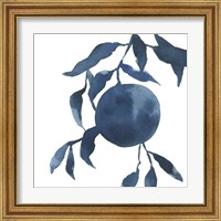 Framed 'Indigo Oranges IV' border=