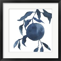 Framed 'Indigo Oranges IV' border=