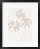 Schefflera II Framed Print