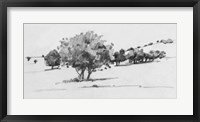 Treeline Sketch I Framed Print