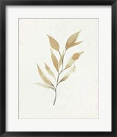 Soft Autumn Branch II Framed Print